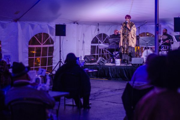 DSC_0135 Denise Thimes at Open Air, December 2020